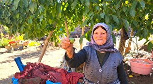 حضور فعال کاروان خدمت صندوق بیمه اجتماعی در روستاهای شهرستان آوج